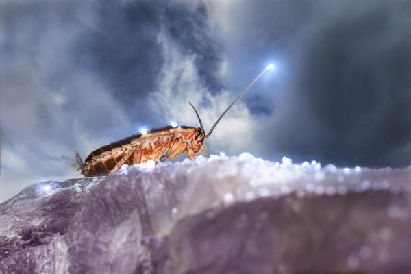 315c3d7d30a3cd0e097f90f1761c4f87_1655550057_8394.jpg