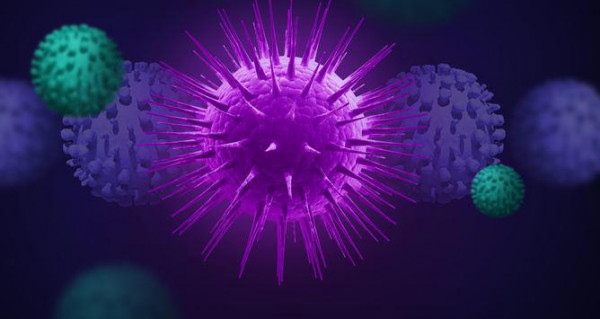 2e0b539080b6b60cf1318bc15620c9c4_1660995168_8977.jpg