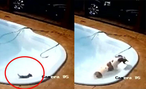 c37de1e218daeec66d6ad1a35392e838_1666524759_2176.jpg