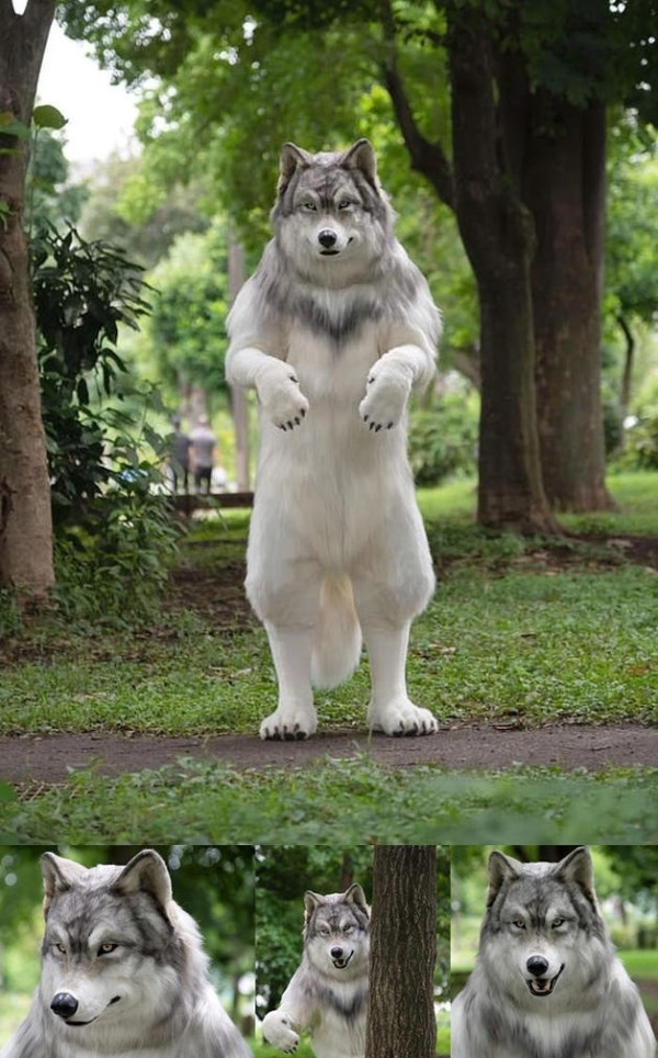 61f22fadf25c5f151e6da149cee27f9d_1673269883_2358.jpg