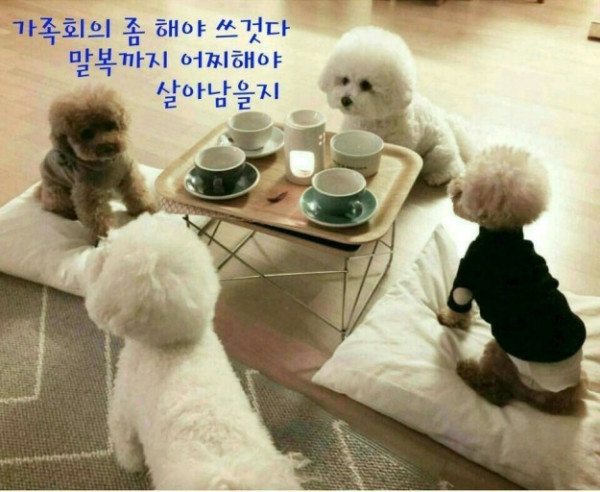 647743272dbeebe33fe276abc9b96cdb_1677334162_4869.jpg