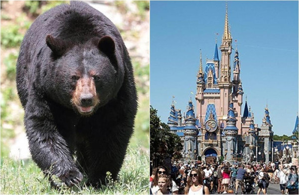 a758f90b1bd2f532423dbe2ad3917f4a_1695127833_8708.jpg
